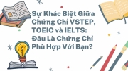 su khac biet giua chung chi vstep toeic va ielts  dau la chung chi phu hop voi ban