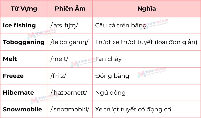 bo tui 100 tu vung tieng anh ve mua dong thong dung nhat ??