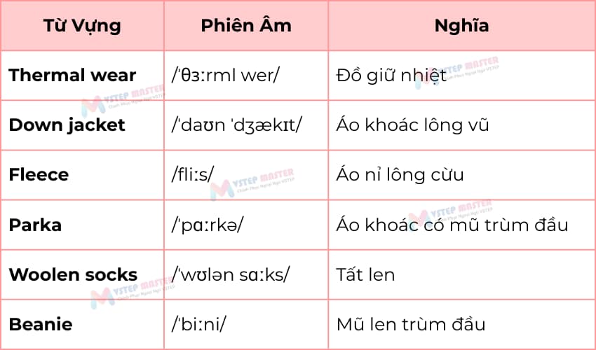 bo tui 100 tu vung tieng anh ve mua dong thong dung nhat ??