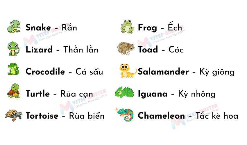 100 tu vung tieng anh ve dong vat thong dung nhat