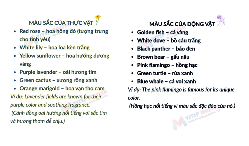 20  tu vung tieng anh ve mau sac pho bien nhat